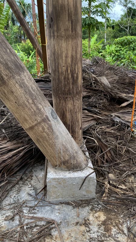 Yuyarina Pacha Kids Library